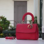 the bag, dior, duh, dior, dior, dior, dior, dior